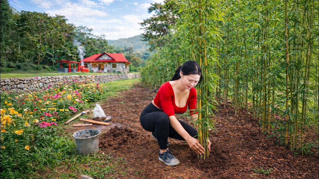 CEO Girl Grows Bamboo & Makes Homemade Dishwashing Liquid | Off Grid Rural Life