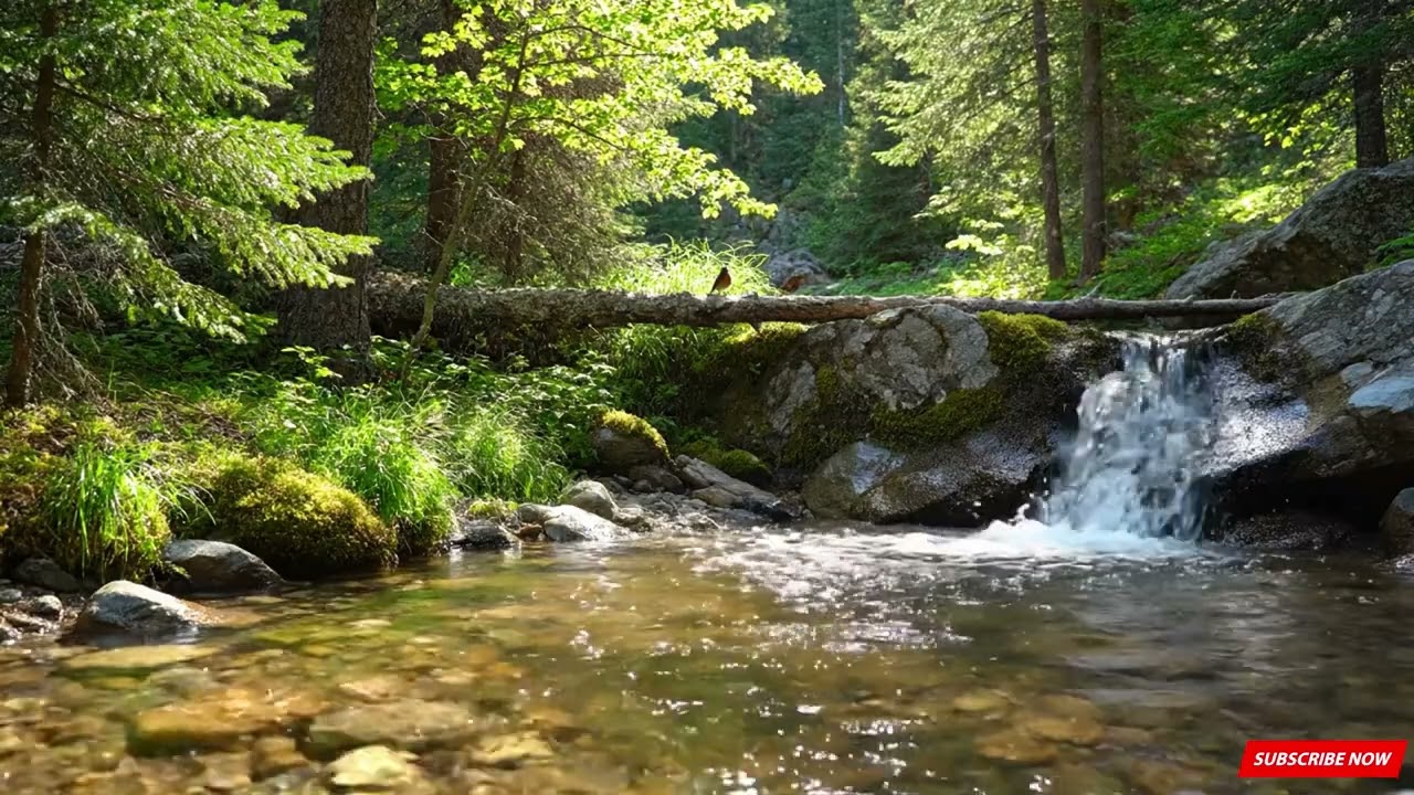 Beautiful Relaxing Music for the Heart and Blood Vessels 🍃 Great Healing Music for the Soul