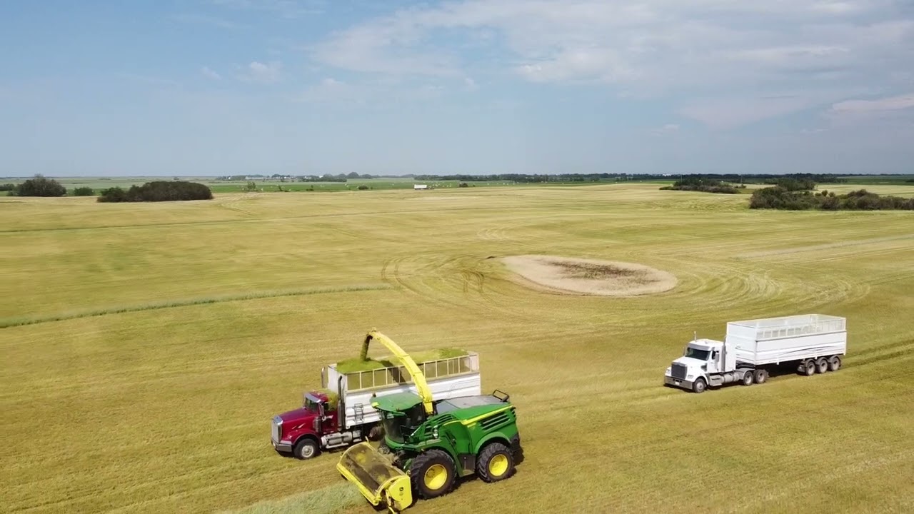 Barley Silage 2022