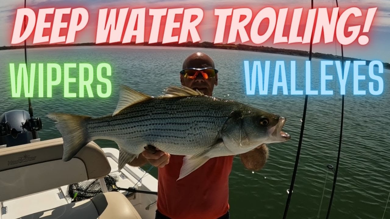 Pro Tip: Deep Trolling For Hot Summer Walleye's and Wipers Kansas Fishing