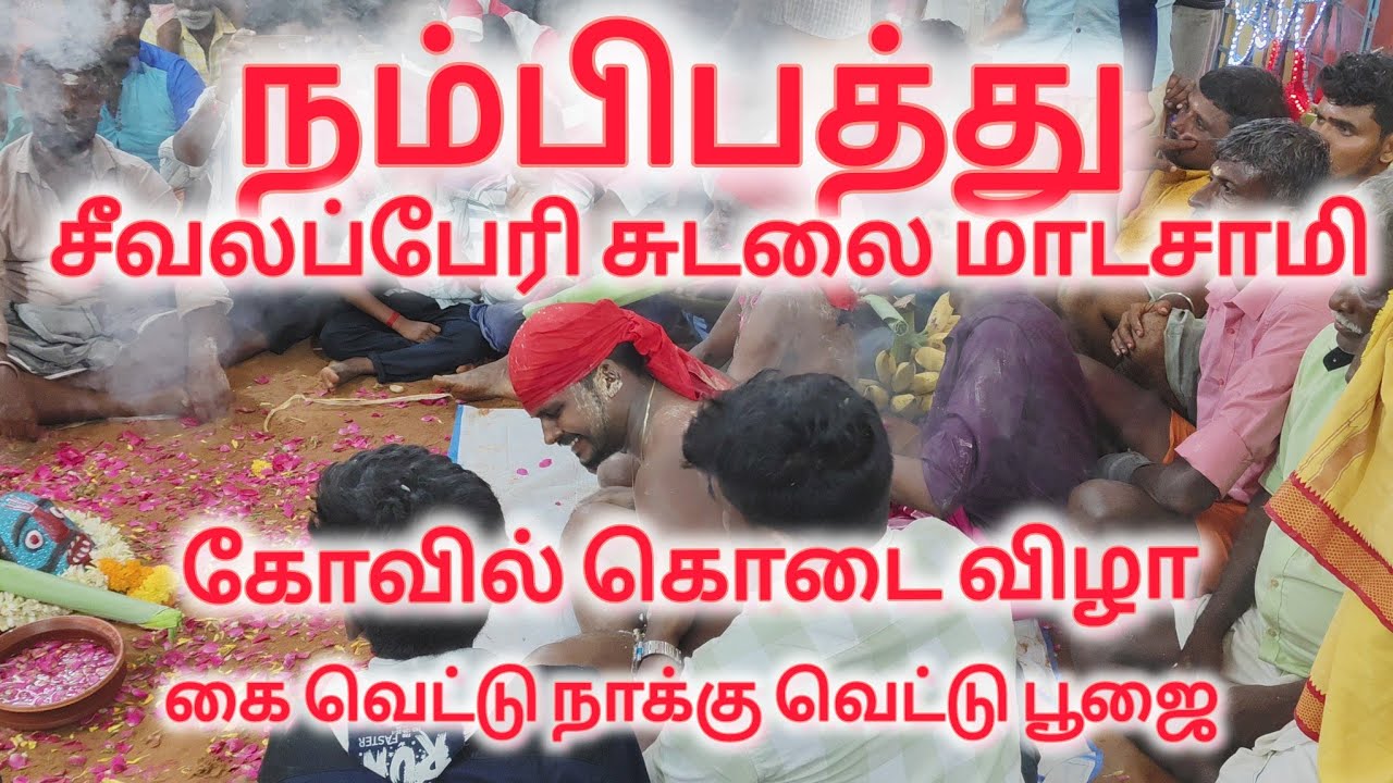 நம்பிபத்து சீவலப்பேரி சுடலை மாடசாமி கோவில் கொடை விழா 2025   நாக்கு வெட்டு கை வெட்டு பூஜை