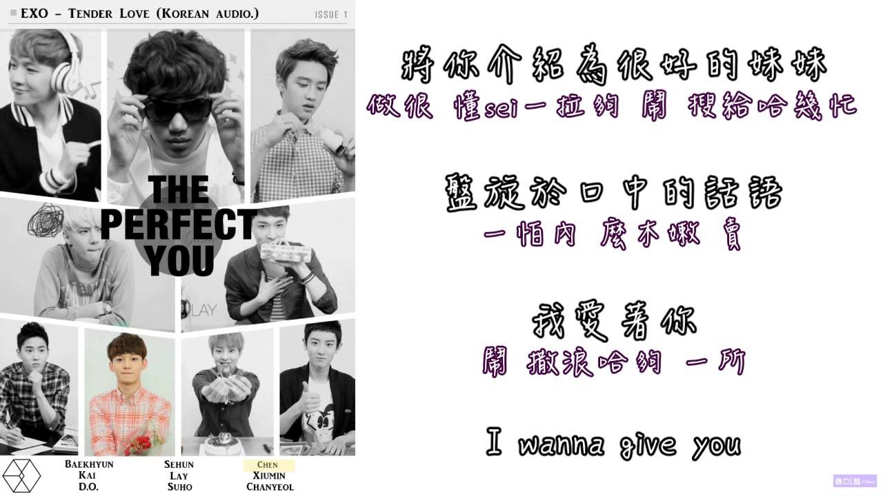 【中字+空耳+認聲】EXO - Tender Love (就是愛) (Korean audio.)
