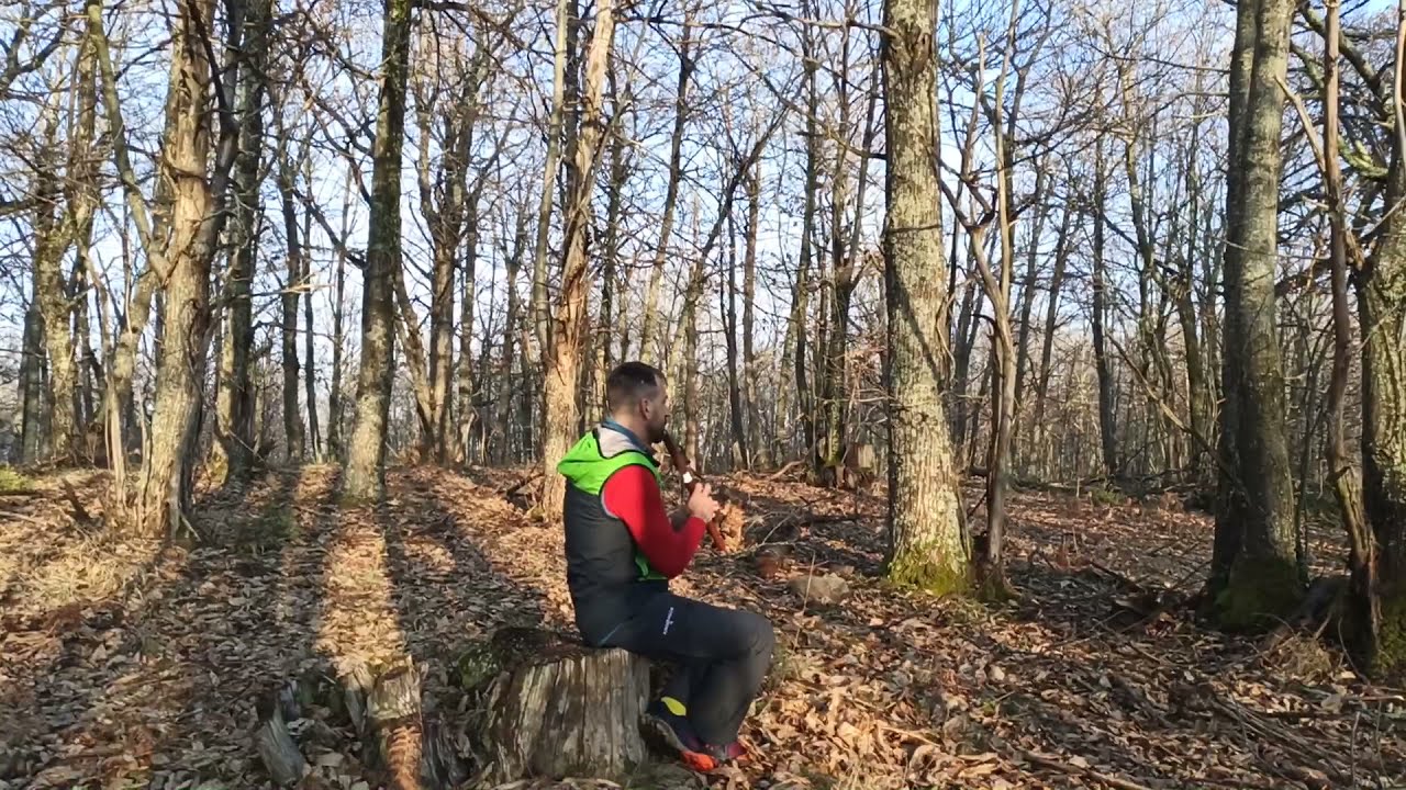 Native american flute in the woods - Amon olorin Am