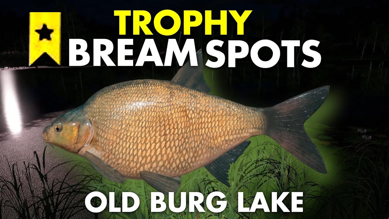 Russian Fishing 4 TROPHY BREAM SPOT Old Burg Lake