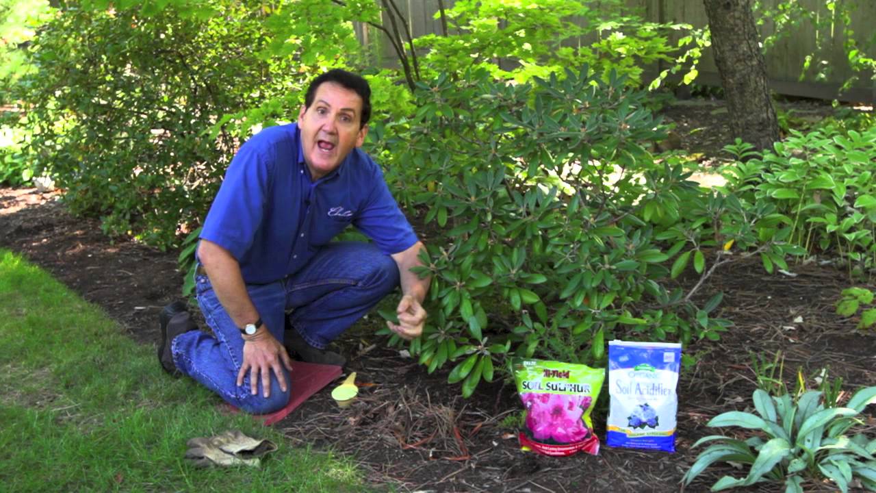 How To and When To Add Soil Acidifier