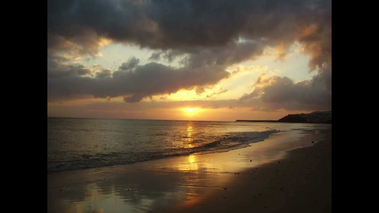 Fuerteventura, Canary Islands,  с павлинами, фламинго, жирафами и крокодилами, есть и гепард.