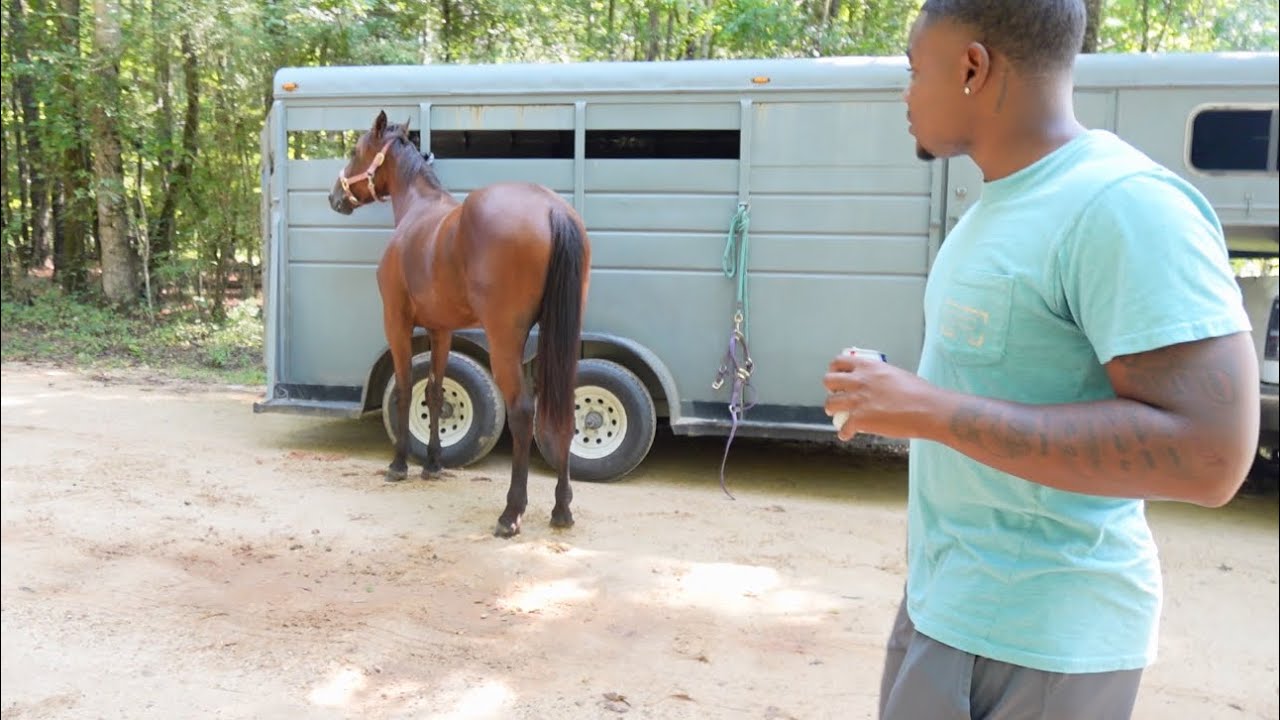 Grudge Horse Race ( 2,000$) POT 😱…