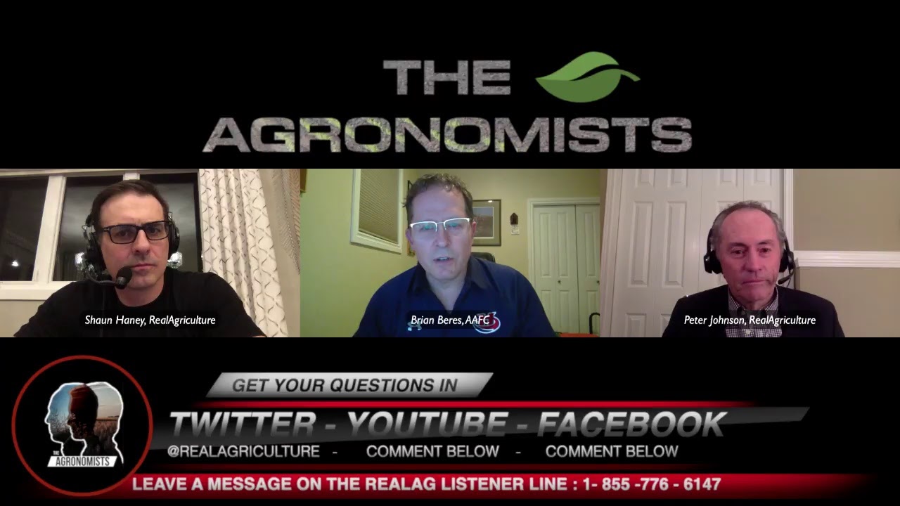 The Agronomists: Brian Beres and Peter Johnson on ultra-early seeding and soil temperature triggers