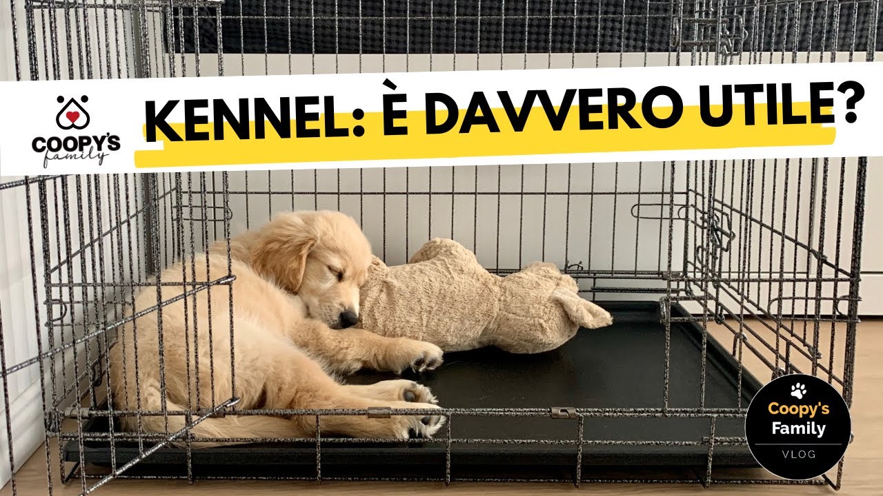 A cosa serve il kennel?