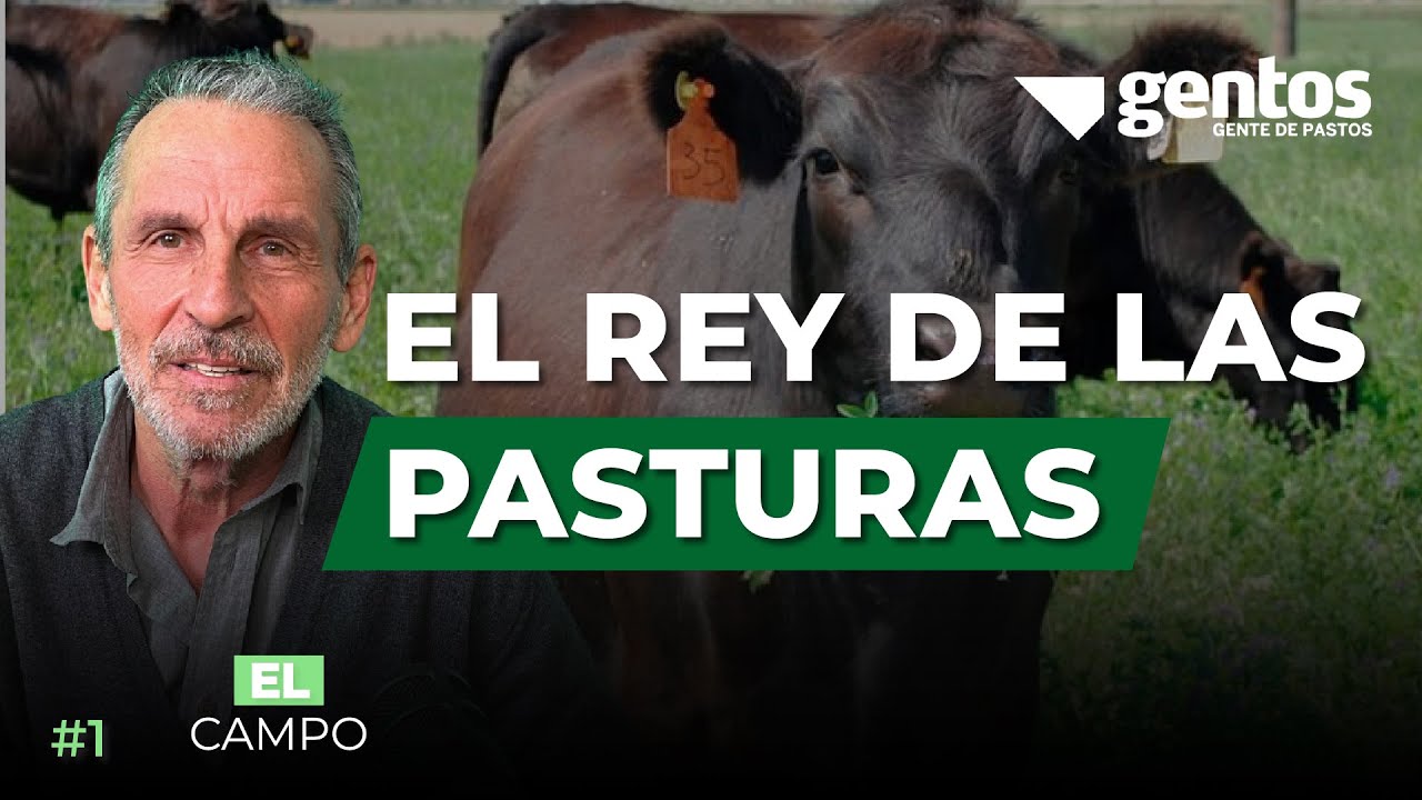 #1 - El rey de las pasturas, Juan Amadeo | En El Campo Podcast