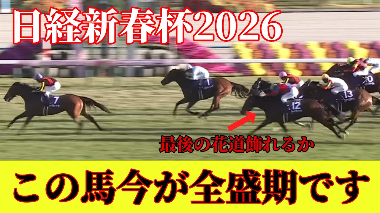 【日経新春杯2026】前走G1で3着だったあの馬が6番人気！？S評価に選ばれた引退間際だが今が全盛期の馬とは！？