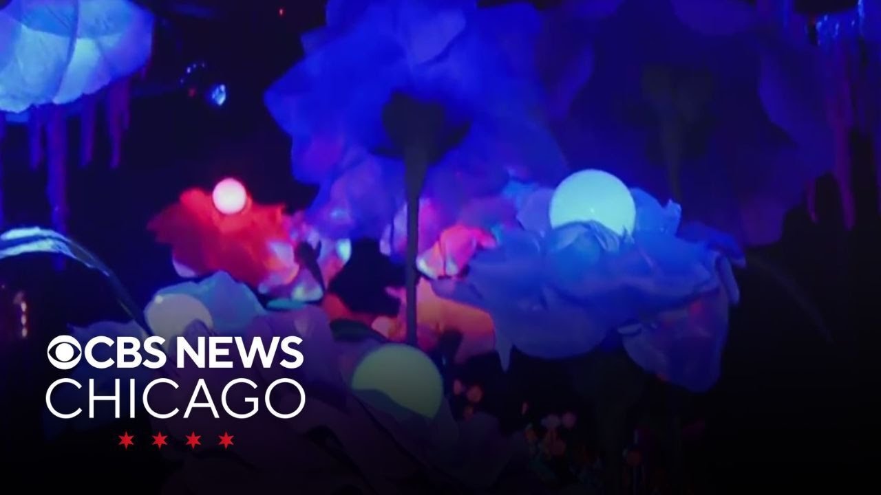 Wondra: An immersive nature experience at Woodfield Mall
