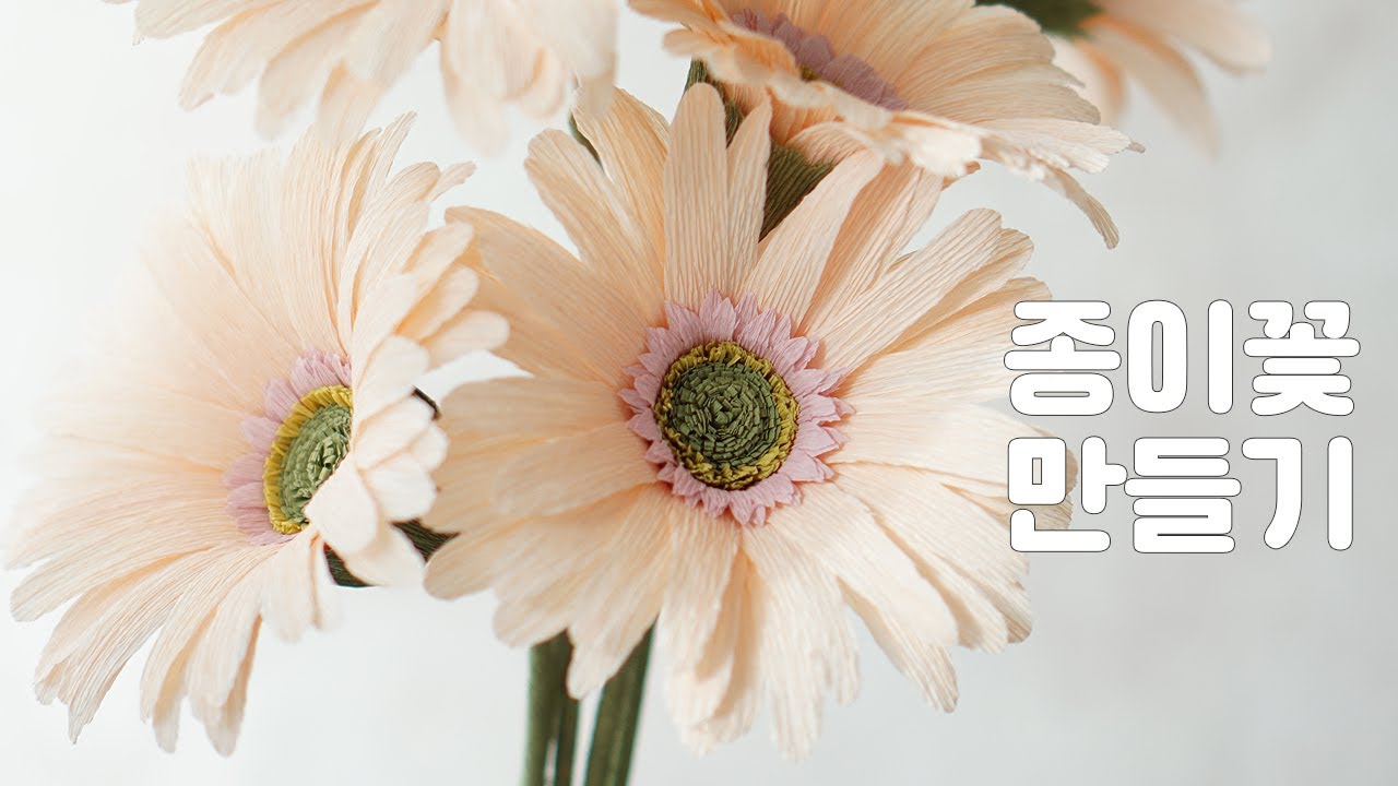 거베라꽃 그대로 재현🌼 종이로 만드는 고퀄리티 리얼 거베라