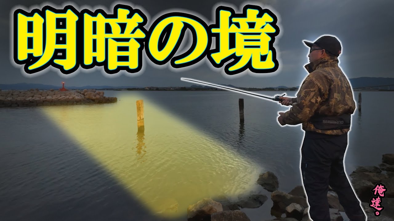 小魚が集まる漁港のライトの下に大型魚はいるのか？【中海シーバス】