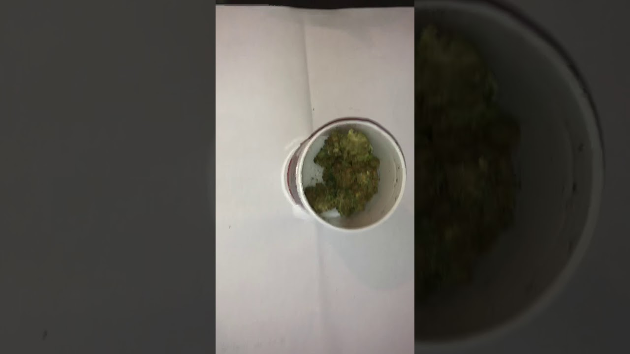 Penelope medical Weed ghost Train haze  2018 Germany