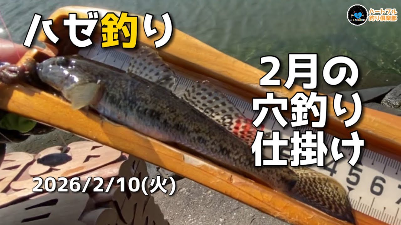 【ハゼ釣り】2月の穴釣り仕掛け 2026年2月10日