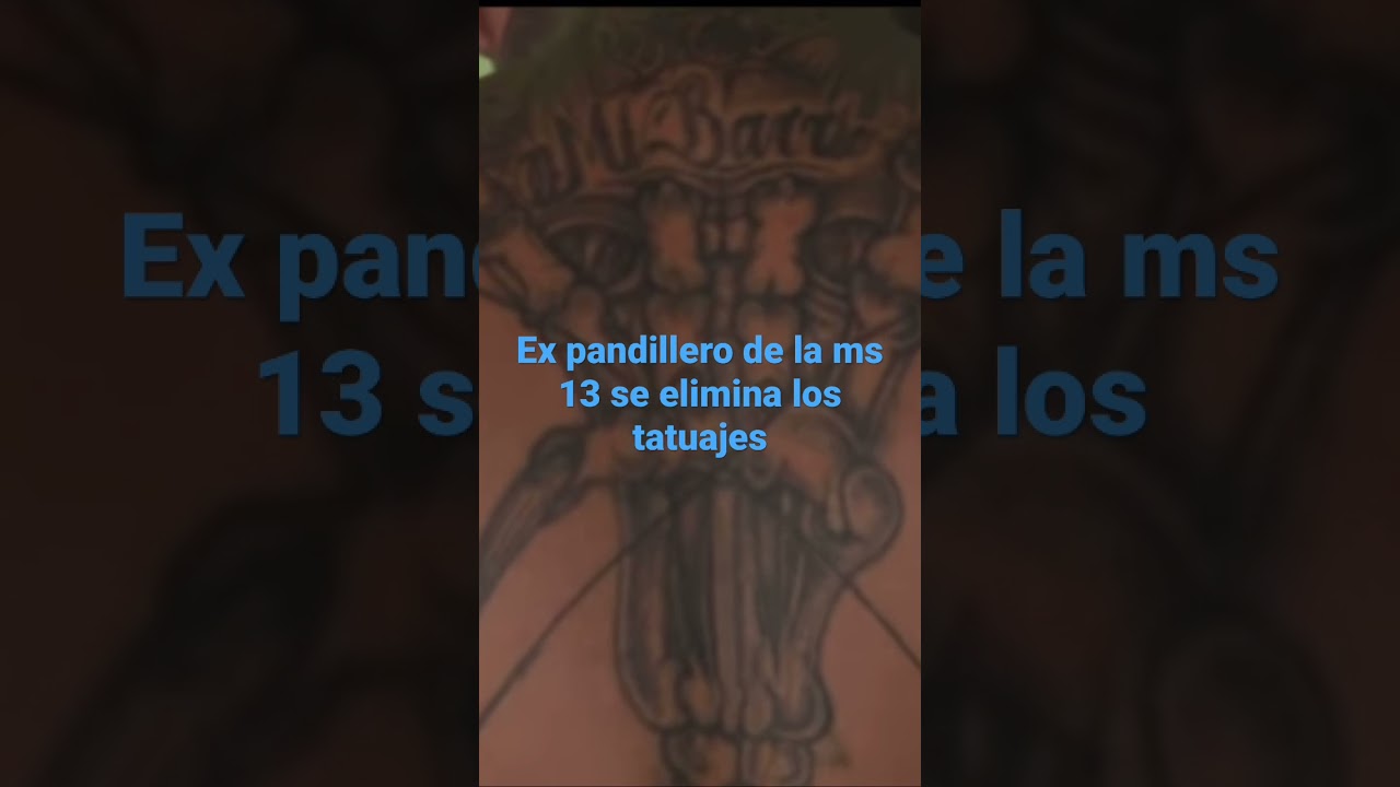 Ex ms 13