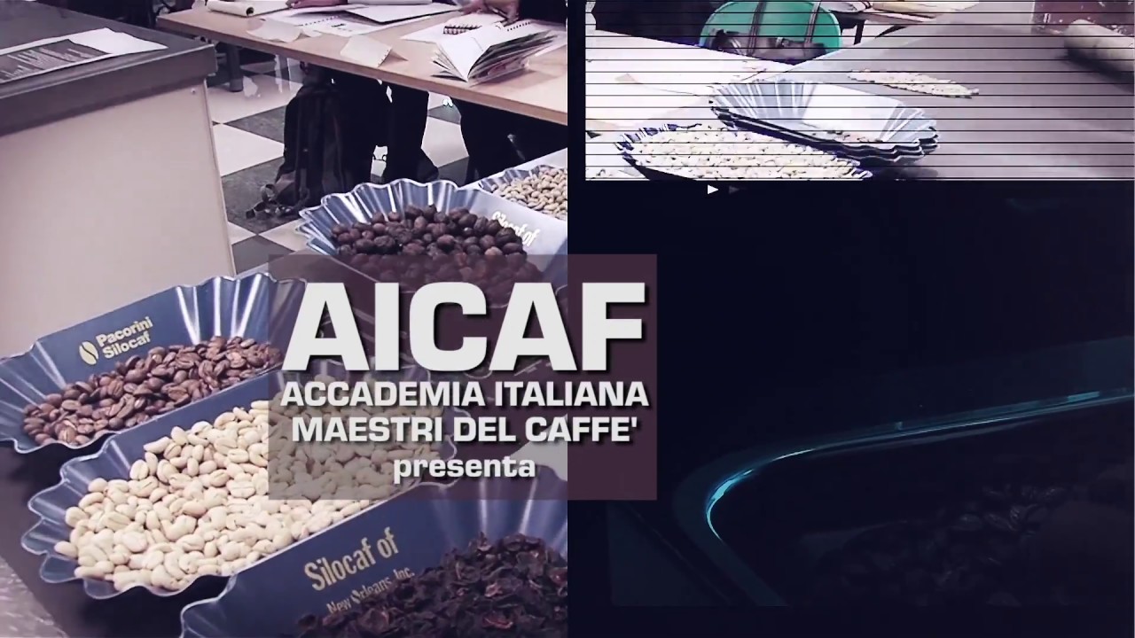 AICAF Corso Green coffee e Roasting