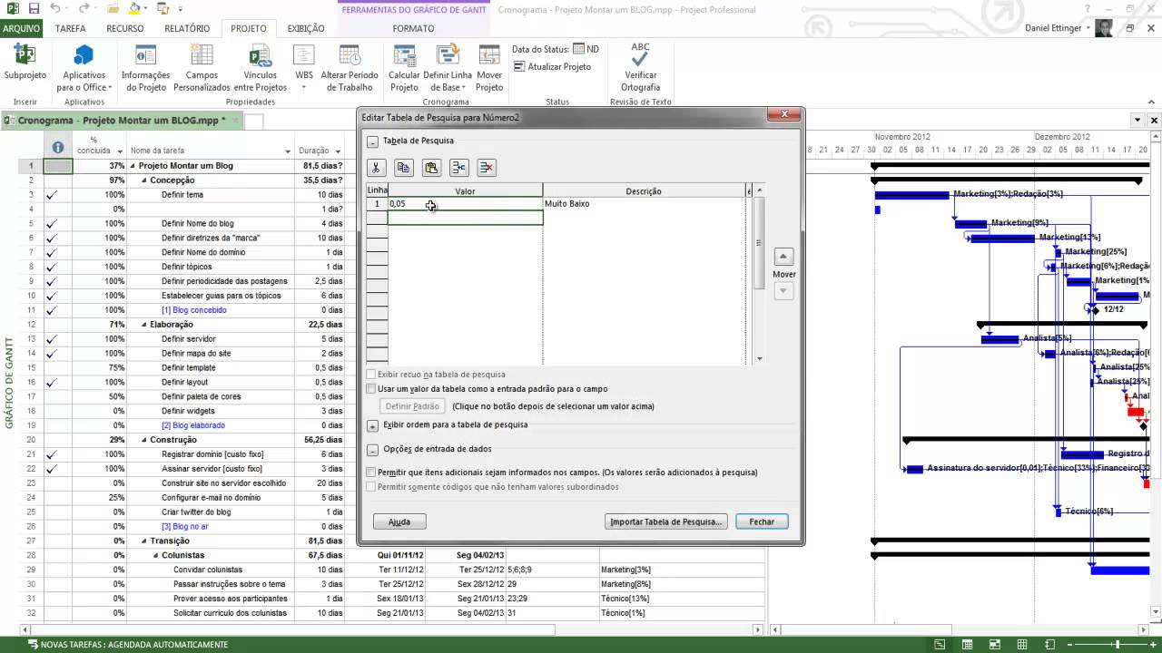 [MS Project 2013] Aula 10 - Personalizando campos Parte 1