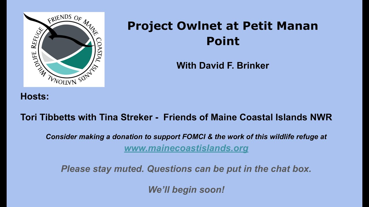 Project Owlnet at Petit Manan Point