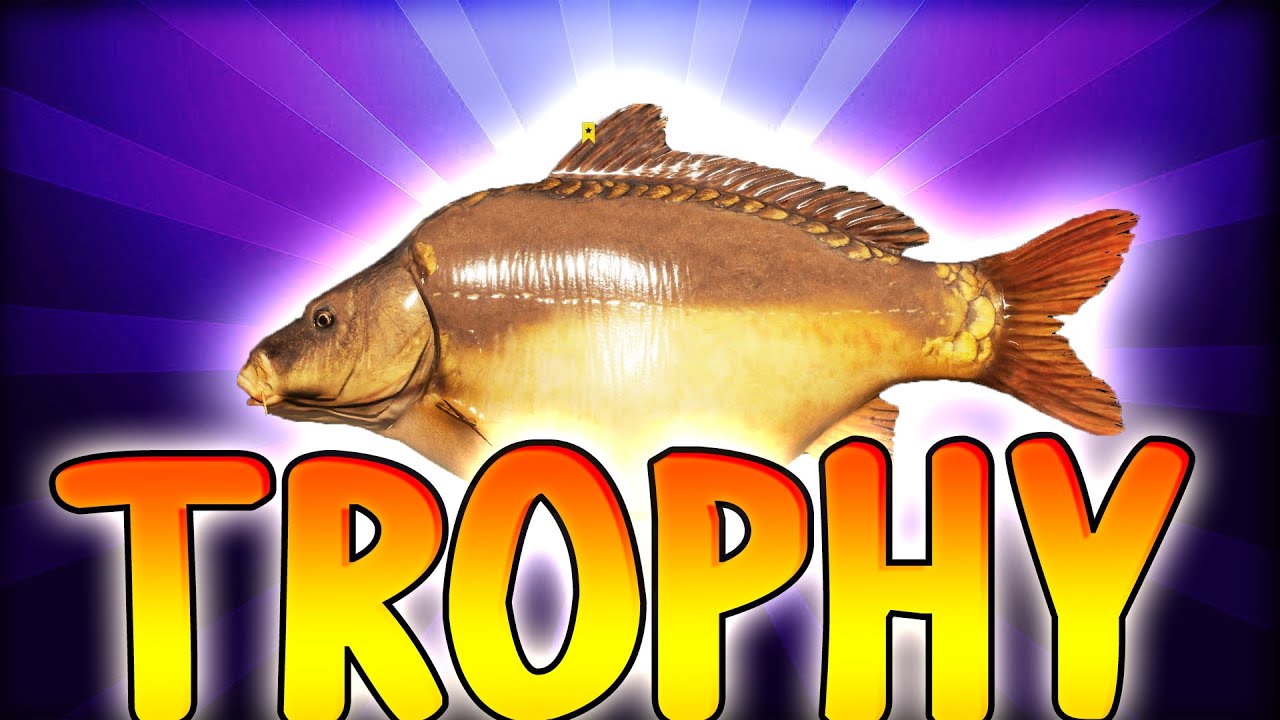 CARP TROPHY -  UMALO DA POKIDA SVE! - Russian Fishing 4