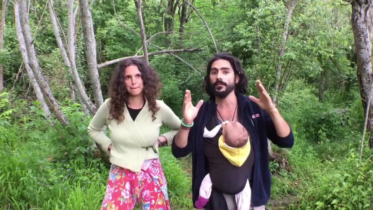 Acte de désobéissance fertile n°1: Rachetons les forêts