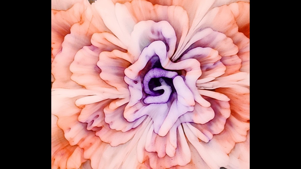 Love the result of the 'inner' Resin 3D Bloom!