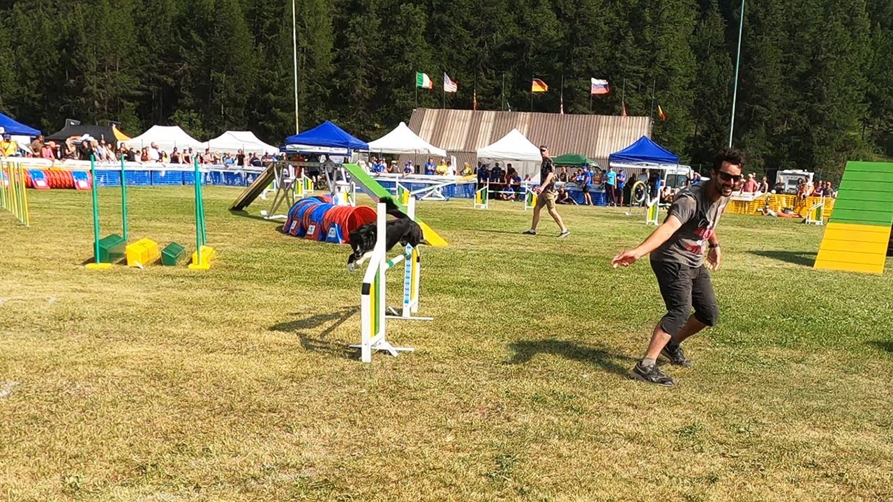 Gara internazionale di Agility Dog a (Pragelato) To