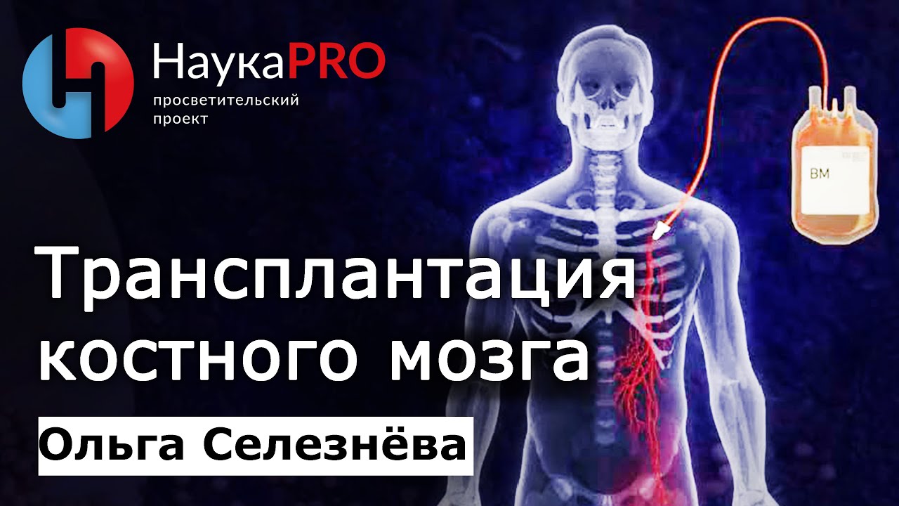 Трансплантация (пересадка) костного мозга: кому, когда и как? – Ольга Селезнёва | Научпоп