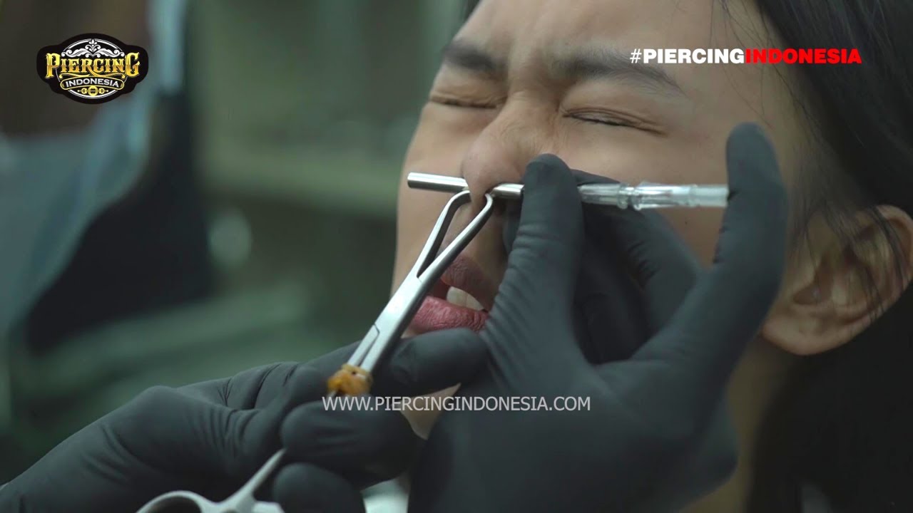 Septum Piercing JAKARTA Tindik Hidung