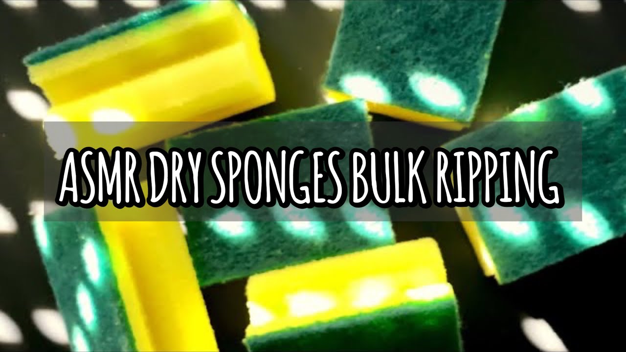 ASMR SPONGE RIPPING // BULK RIPPING DRY CLASSIC SPONGES