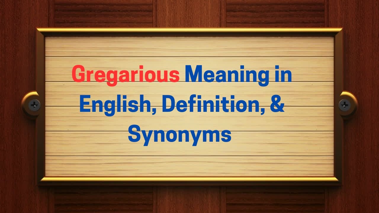 Gregarious Meaning in English, Definition, and Gregarious Synonyms | Thesaurus Thrive
