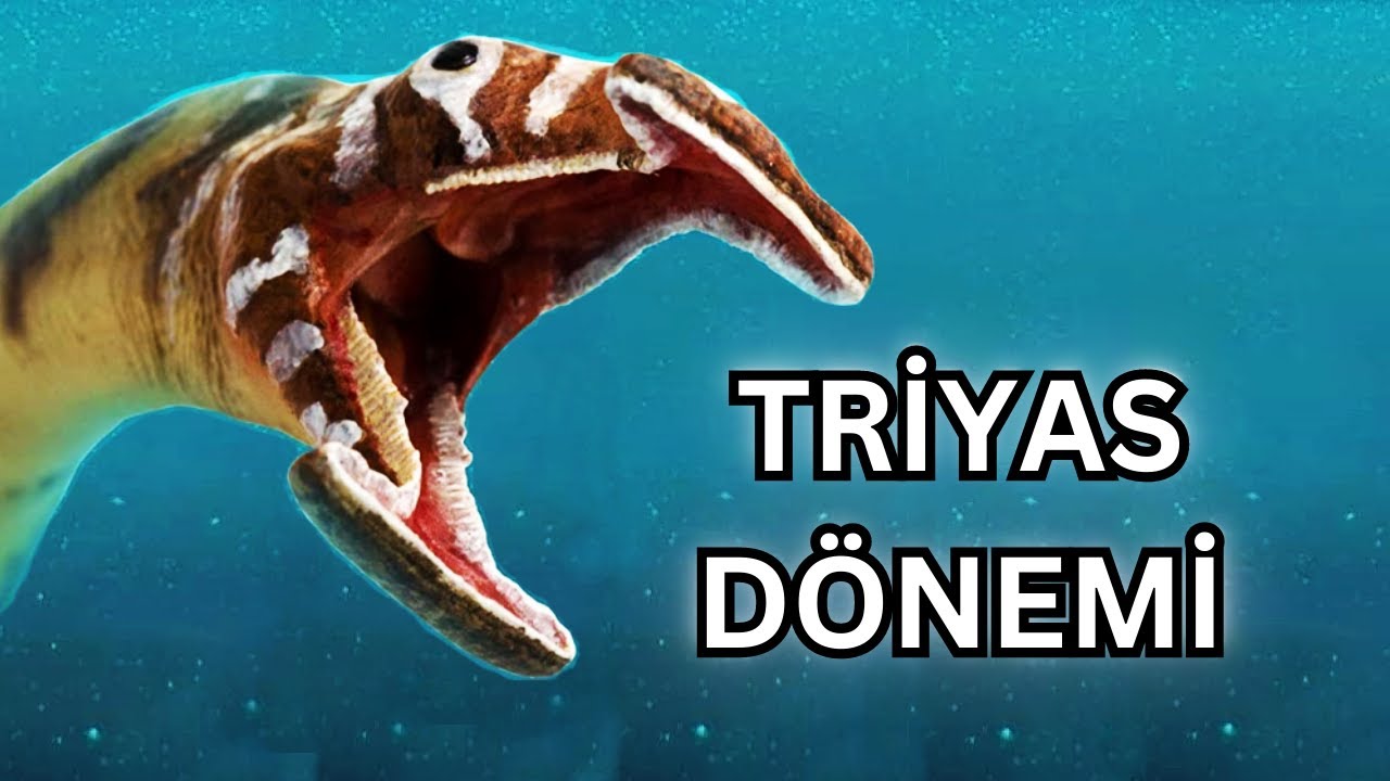 251 Milyon Yıl Önce Ortaya Çıkan Tuhaf Canlılar: Triyas Dönemi