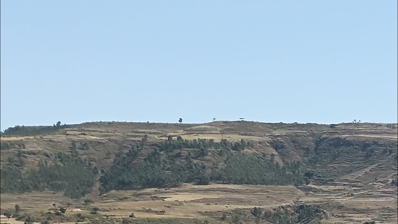 #ሷሊህዘውዱ#ቀጥታ#ስርጭት#ላይ#ነው