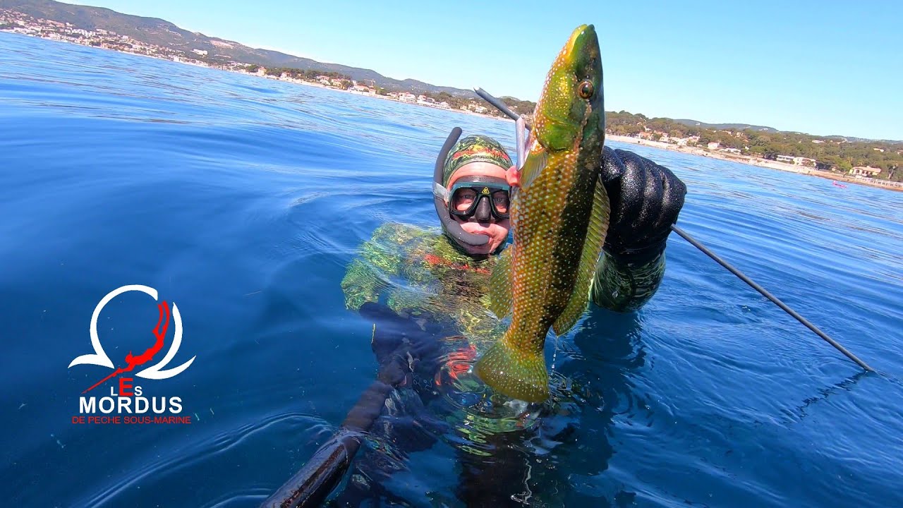 Chasse sous-marine Arène Cros à La Ciotat avec Baptiste le 17/04/23
