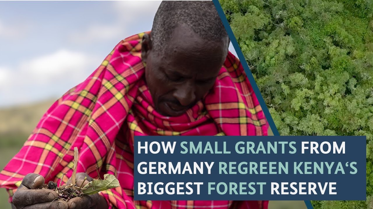One seedling after another: IMPACT and IKI Small Grants saving Kenya's Mukogodo Forest
