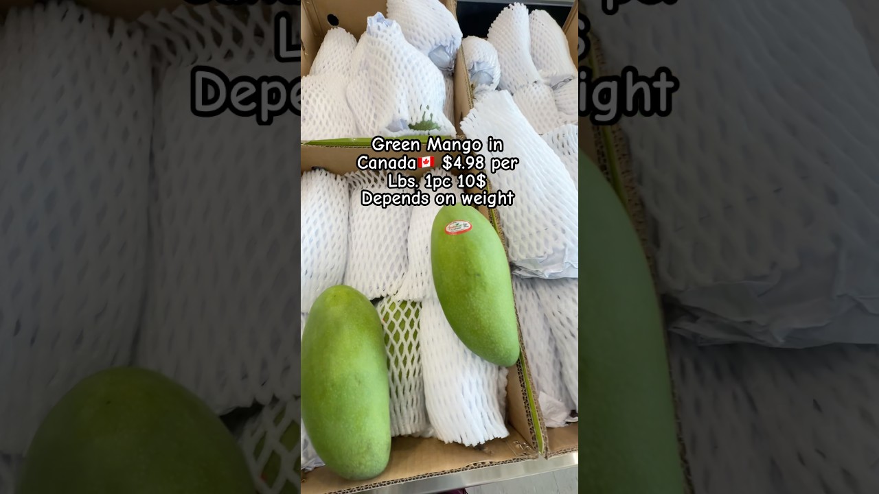 Jumbo green mango in Canada #shorts