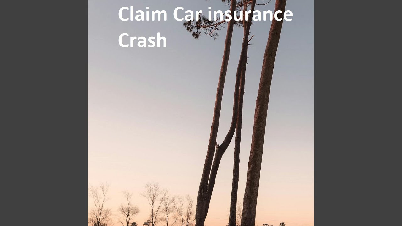 Claim Car insurance Crash