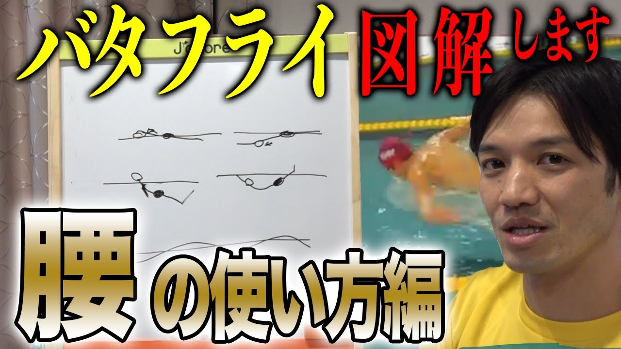 【バタフライ】「腰を残す」これめちゃくちゃ大事です！わかりやすすぎる図解で解説します！#150