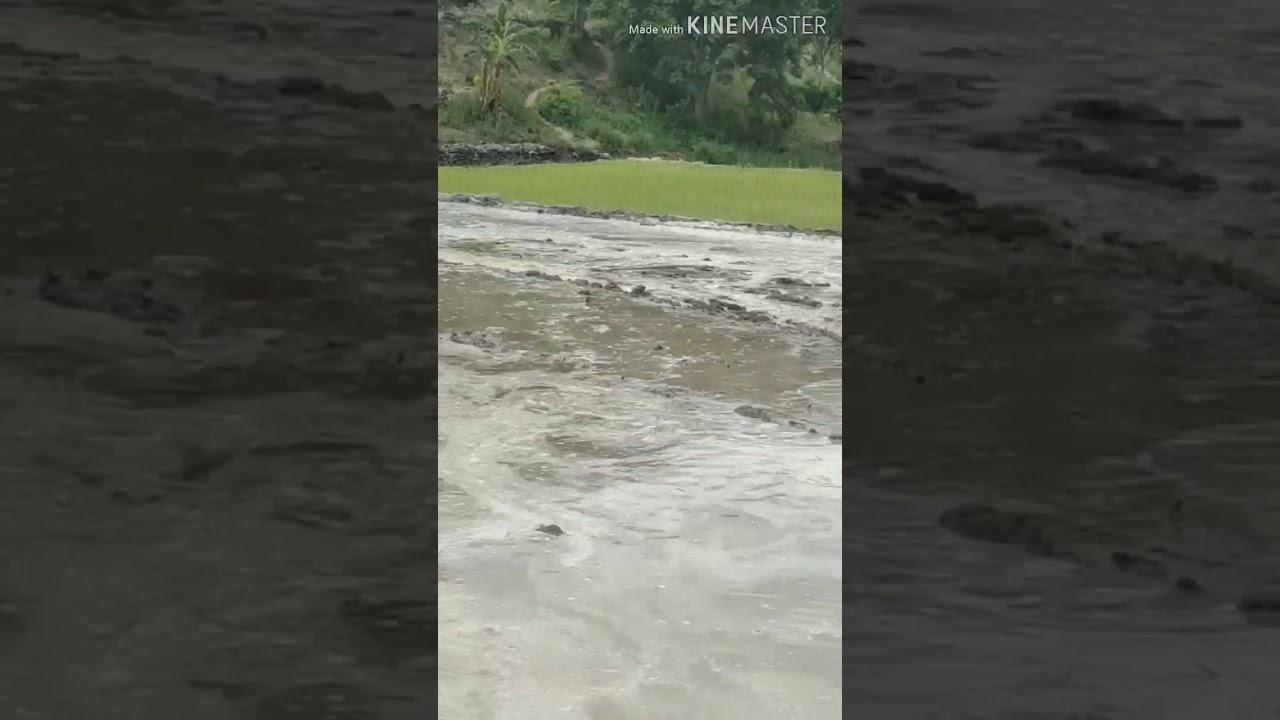 जाखणी धराड