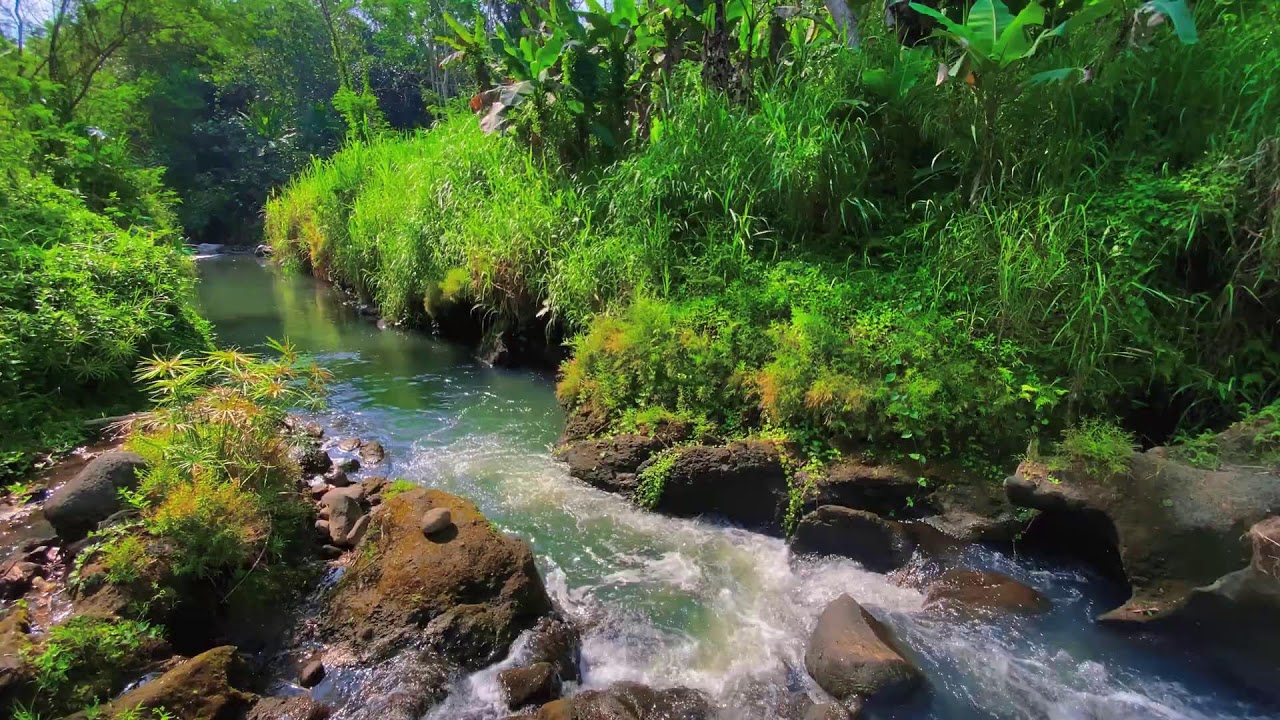 Calming River Sounds – 10 Hours of Natural ASMR for Focus & Anxiety Calm