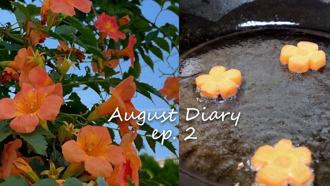 August Diary ep.2 | 혼자 먹는 점심 , 주방 타일 시트지 셀프시공