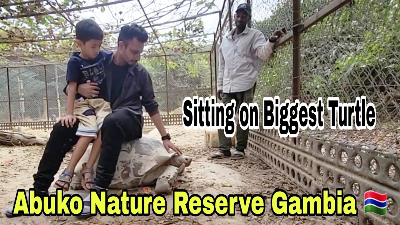 We Found Black Cobra, Hippopotamus Head, Hyenas, Biggest Turtles And Monkeys in Africa's Jungle