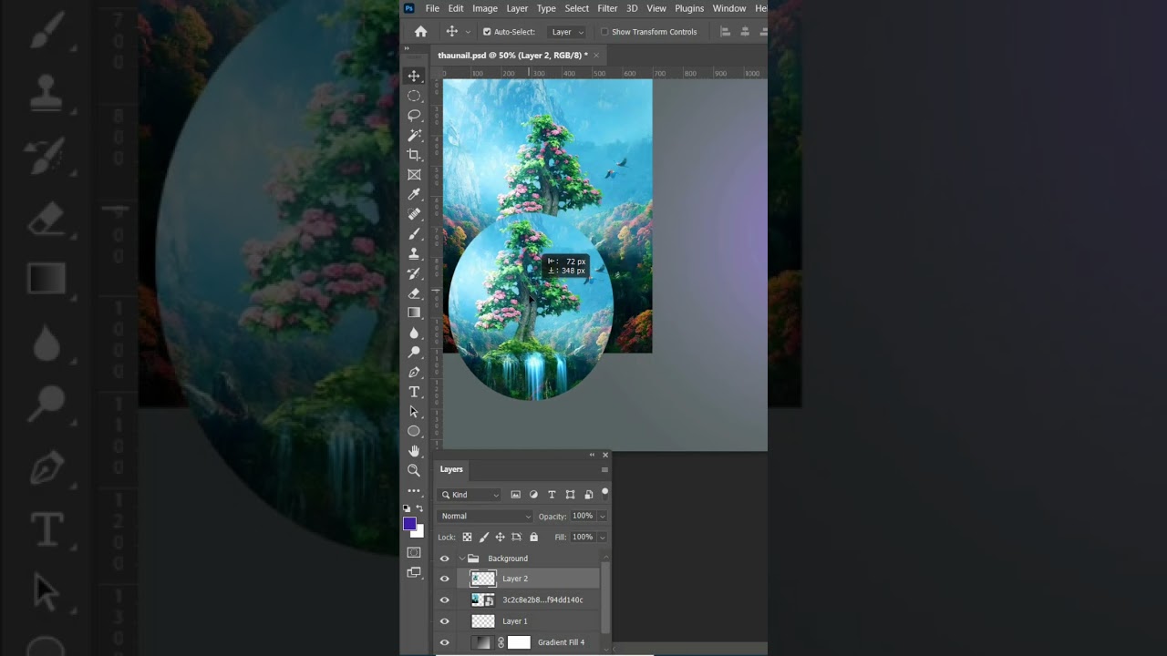Elliptical Marquee tool |#adobephotoshop #shorts