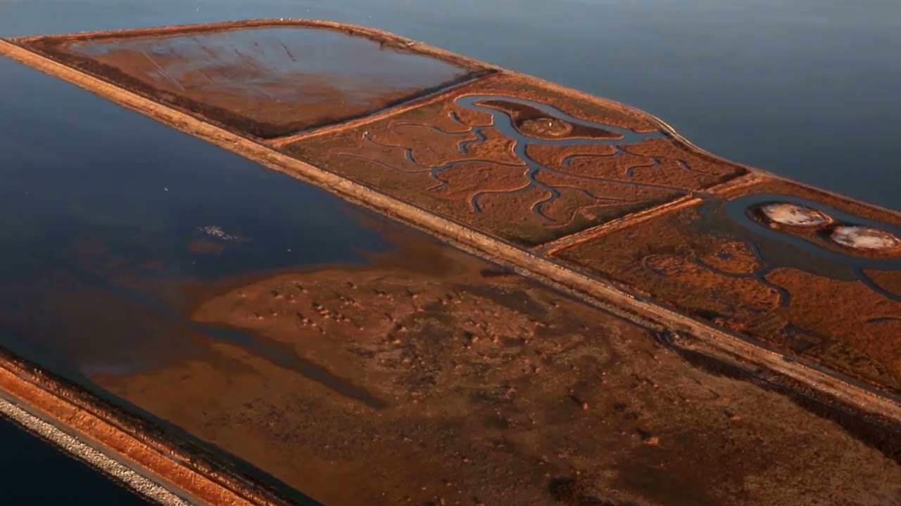 Poplar Island Aerial video for MES
