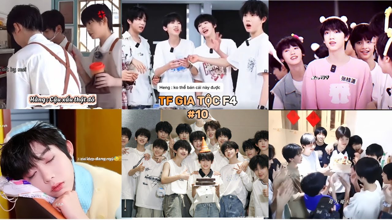 [TikTok] TF Gia Tộc F4 #10| Vựa muối Tứ Đại toàn mấy bé dễ thương