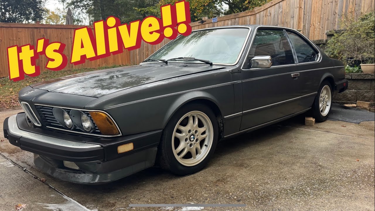 Первый запуск за 20 лет! E24 635csi возвращается к жизни. Давайте проверим двигатель и топливную ...
