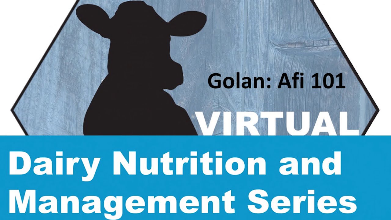 Golan - Afimilk Management