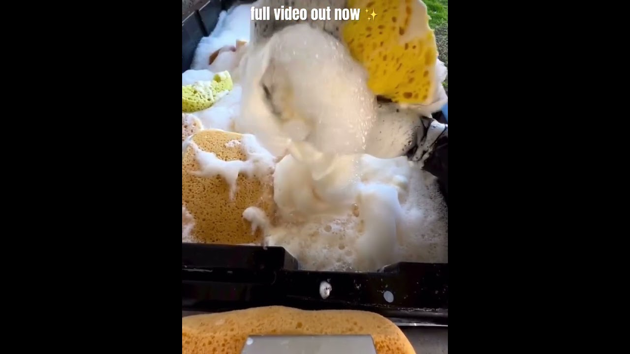 SUDSY SPONGE SQUEEZING ASMR 💛THICK PINE BUCKET MIX | SATISFYING SUDSY SPONGE SQUEEZING ASMR