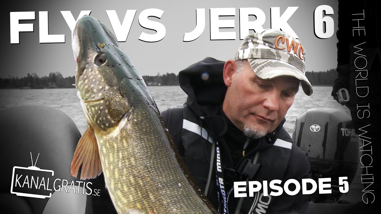 Fly vs Jerk 6 - EPISODE 5 - The World is Watching